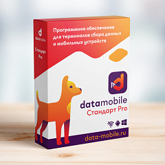 ПО DataMobile, версия Стандарт Pro в Абакане