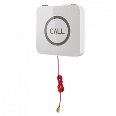 Кнопка вызова iBells 310S влагозащищенная со шнуром для МГН в Абакане